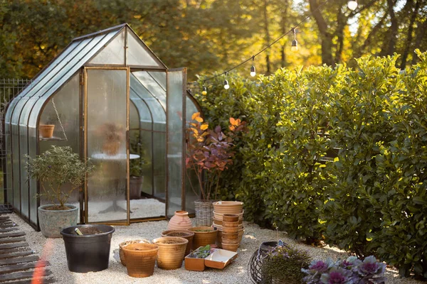 Vacker Trädgård Med Vintage Växthus Glas Och Rostig Metall Med — Stockfoto