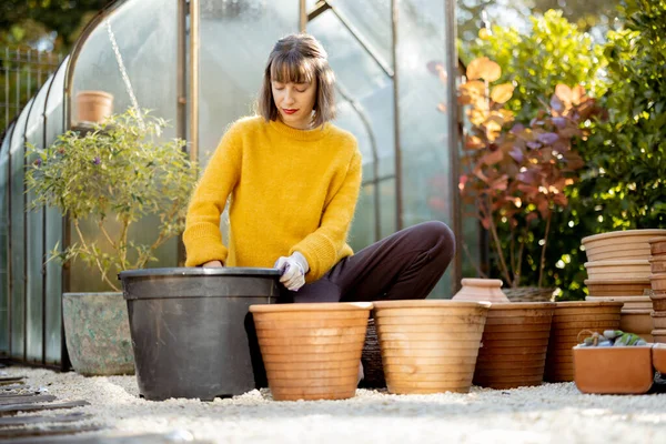 Mujer Plantando Flores Jarras Arcilla Para Crecer Orangería Vidrio Jardín —  Fotos de Stock