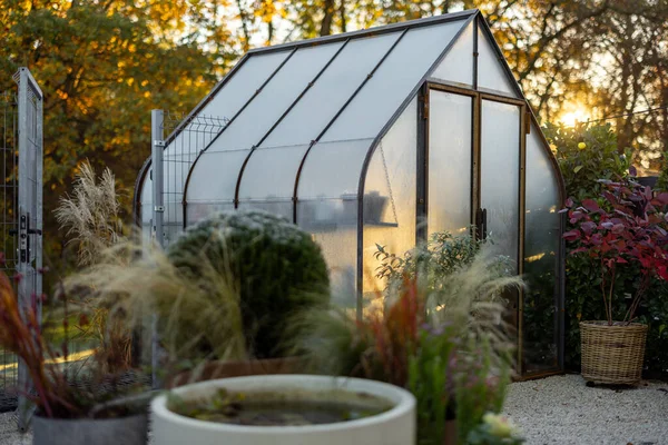 后院里的晨景 有美丽的老式温室 由生锈的金属和玻璃制成 在寒冷和阳光灿烂的早晨 — 图库照片