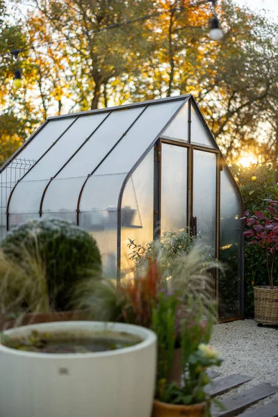 Arka Bahçede Sabah Manzarası Paslı Metalden Yapılmış Güzel Bir Sera — Stok fotoğraf