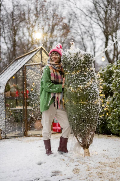 在一场雪天里 年轻的女人背着被包裹着的圣诞树 准备装饰她的房子 寒假快乐与魔法的概念 — 图库照片