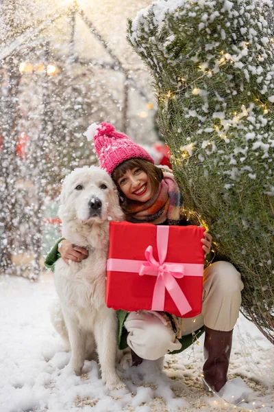 一个女人的画像 她带着圣诞树和礼物盒 和她可爱的狗在雪地上装饰精美的院子里拥抱 寒假快乐与魔法的概念 — 图库照片