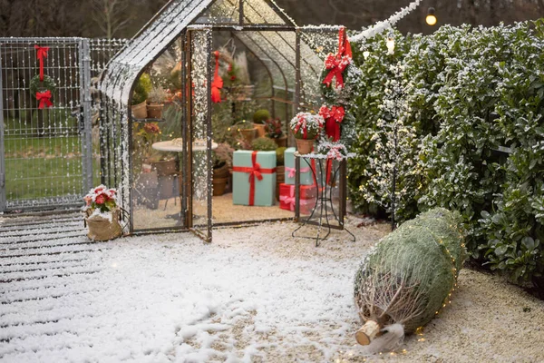 ギフトボックス クリスマスツリー 裏庭での冬の休日の花輪で美しく装飾された裏庭 — ストック写真