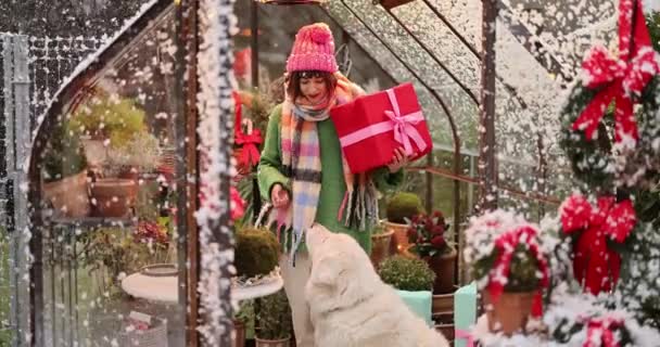 Jonge Vrouw Versiert Achtertuin Met Rode Strikken Cadeautjes Kerstboom Voorbereiding — Stockvideo