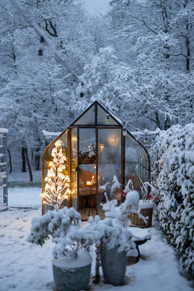 Piękny Śnieżny Dziedziniec Vintage Szklarni Świecące Girlandy Drzewa Koncepcja Wakacji — Zdjęcie stockowe
