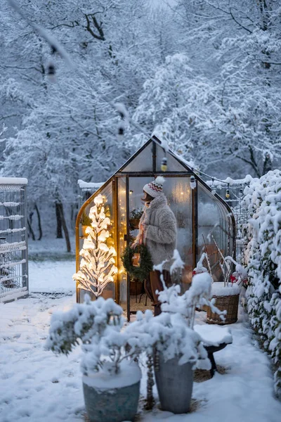 Schöner Schneebedeckter Hof Mit Vintage Gewächshaus Und Leuchtendem Baumkranz Konzept — Stockfoto