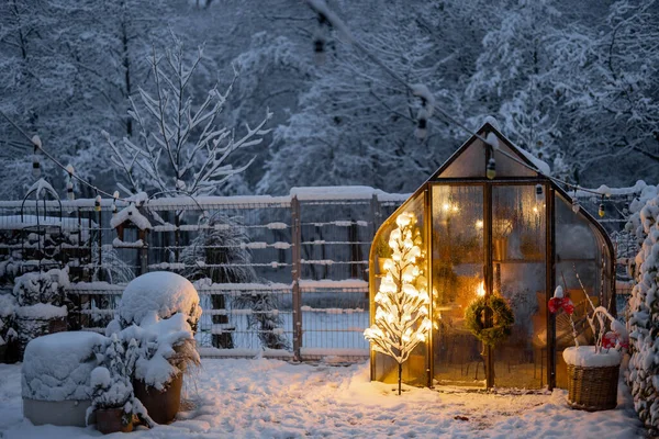 Krásná Zasněžená Zahrada Ročníkem Skleníku Zářící Strom Girland Koncept Novoroční — Stock fotografie