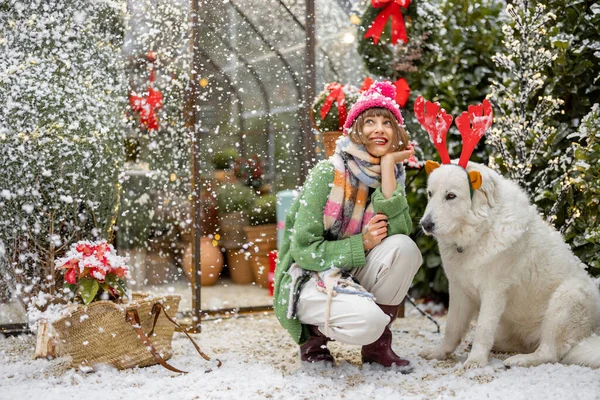 在多雪的天气里 年轻可爱的女人和可爱的狗在装饰精美的后院玩耍 寒假快乐的概念 — 图库照片