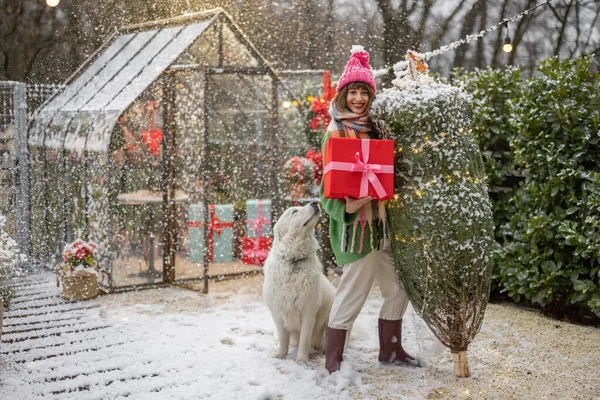 一个女人站在雪地上装饰精美的院子里 带着包装好的圣诞树 礼品盒和她的狗的画像 寒假快乐与魔法的概念 — 图库照片