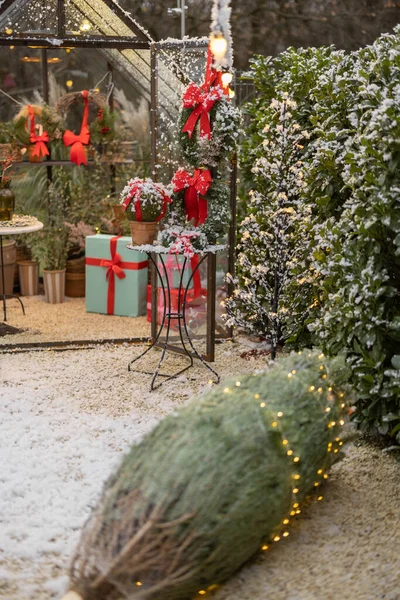 ギフトボックス クリスマスツリー 裏庭での冬の休日の花輪で美しく装飾された裏庭 — ストック写真