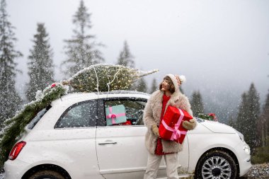 Genç bir kadın arabasının yanında bir hediye kutusuyla duruyor. Çatıda Noel ağacı var. Kış tatilinde arabayla dağlarda geziyor.