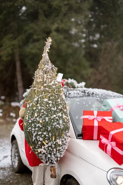 女性は雪の日に山の中で車で旅行し クリスマスツリー包まれて保持しています 幸せな冬の休暇のための準備の概念 車の後ろにプレゼントや花輪で飾られた — ストック写真