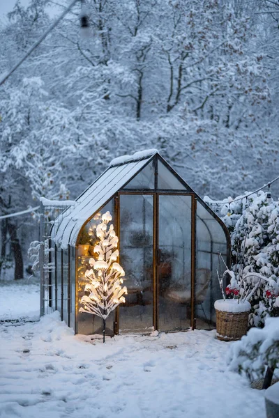 Krásná Zasněžená Zahrada Ročníkem Skleníku Zářící Strom Girland Koncept Novoroční — Stock fotografie