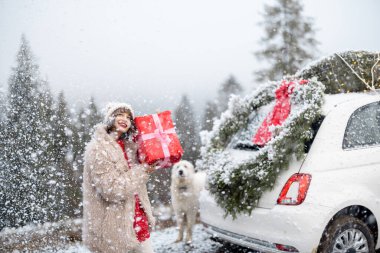 Noel çelengi ve ağaçla süslenmiş bir arabayla seyahat ederken mutlu kadın portresi kar fırtınasında bir hediye kutusuyla ayakta duruyor. Mutlu kış tatilleri ve sihir kavramı