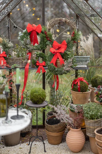 裏庭で冬の休暇のために花輪と赤い弓で飾られた温室 正月のお祝いの飾りの概念 — ストック写真
