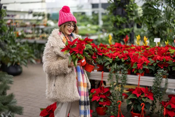 Жінка Вибирає Новорічну Квітку Магазині Готуючись Зимових Канікул Концепція Покупки — стокове фото
