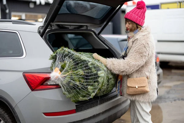 Woman packs wrapped Christmas tree into a car trunk, shopping for a winter holidays. Concept of delivery and online shopping on winter holidays
