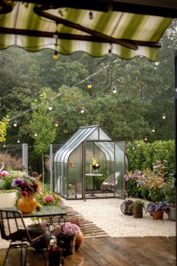 Arka bahçede sabah manzarası sisli havada güzel bir sera. Ormana yakın küçük ve rahat bir bahçe.