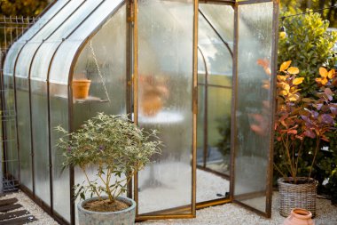 Beautiful garden with vintage greenhouse made of glass and rusty metal with plants inside during sunny morning