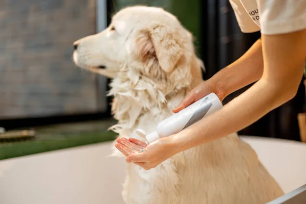 Pet Owner Applying Shampoo Hand Washing Her Cute Dog Bathtub — Stock fotografie