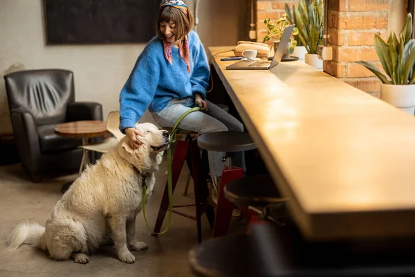女人和她可爱可爱的小狗一起坐在现代咖啡店 在笔记本电脑上工作 宠物友好地方和现代数码生活方式概念 — 图库照片
