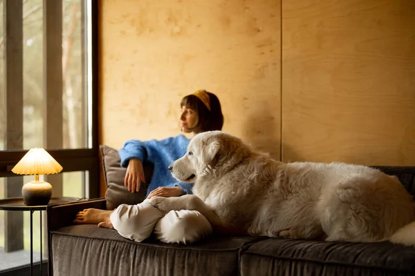 Woman Cares Her Dog While Sitting Couch Window Spending Leisure — 스톡 사진