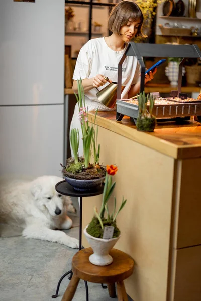 Young Woman Growing Sprouts Artificial Light Standing Kitchen Flowers Home — Stockfoto