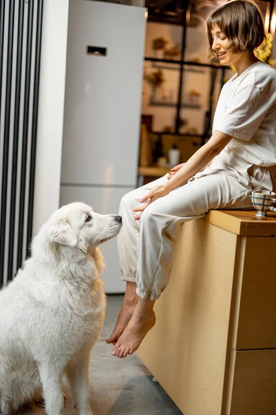 Young Woman Plays Her Huge White Dog Spending Leisure Time — 图库照片