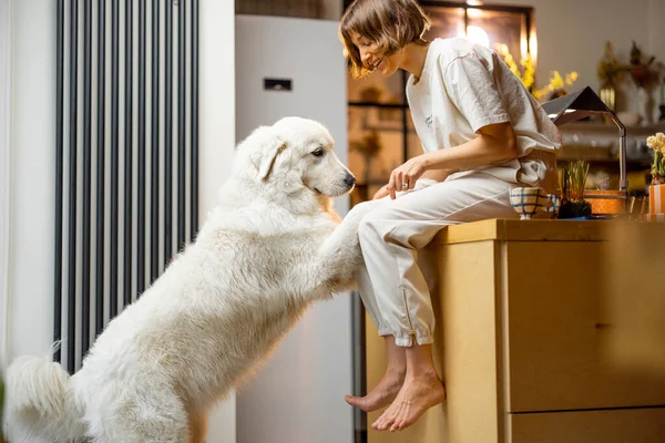 Young Woman Plays Her Huge White Dog Spending Leisure Time —  Fotos de Stock