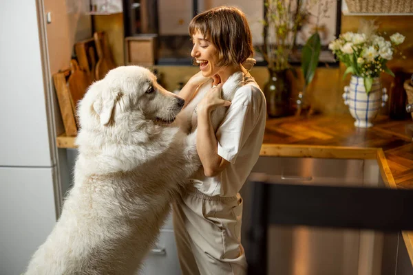 Young Woman Plays Her Huge White Dog Spending Leisure Time — Stock Photo, Image