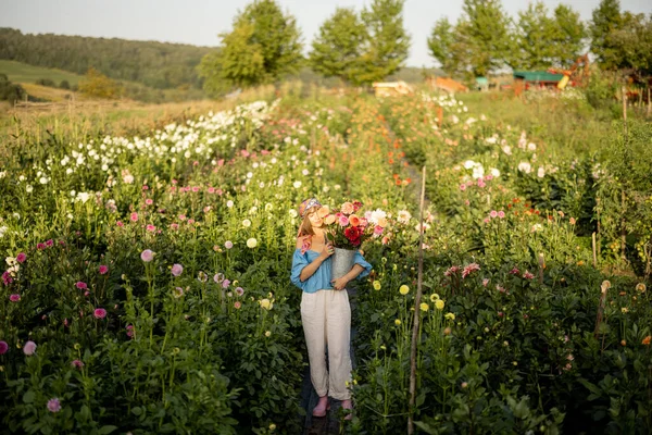 Woman Freshly Picked Colorful Dahlias Flower Farm Outdoors Wide View — Foto de Stock