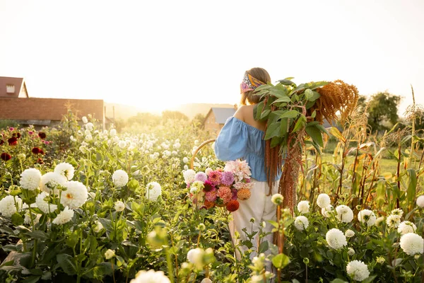 Woman Carries Lots Freshly Picked Flowers Rural Farm Sunset Colorful — Foto de Stock