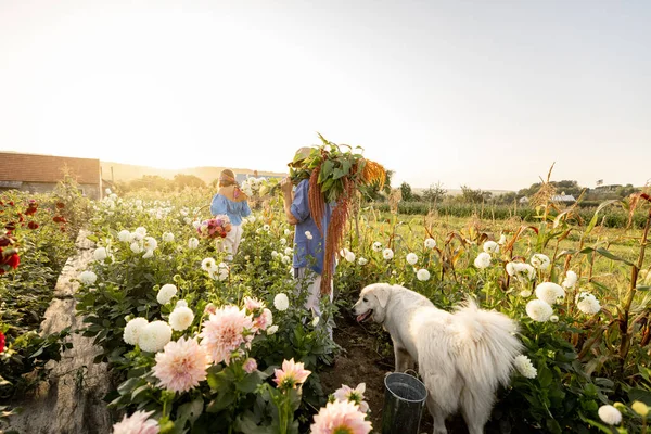 Landarbeiter Tragen Bei Sonnenuntergang Viele Frisch Gepflückte Blumen Auf Den — Stockfoto