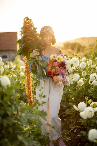 Portrait Woman Lots Freshly Picked Colorful Dahlias Lush Amaranth Flower —  Fotos de Stock