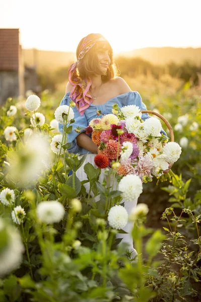 Portrait Woman Lots Freshly Picked Colorful Dahlias Lush Amaranth Flower —  Fotos de Stock