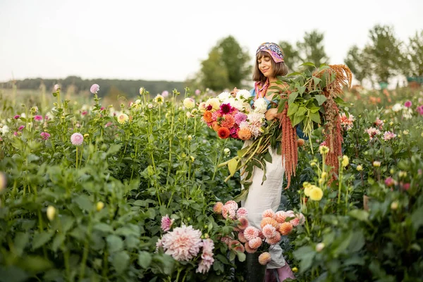 Portrait Woman Lots Freshly Picked Colorful Dahlias Lush Amaranth Flower — Foto de Stock