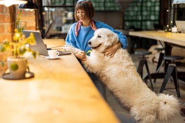 Kadın sevimli köpeğiyle modern kahve dükkanında oturuyor ve dizüstü bilgisayarla çalışıyor. Evcil hayvan dostu yerler ve evcil hayvan konseptiyle zaman geçirmek.