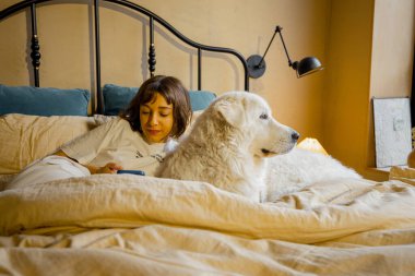 Genç bir kadın, köpeğiyle sıcak yatak odasında bej tonlarda yatarken akıllı telefon kullanıyor. Evcil hayvan konseptiyle boş zaman ve rahatlama