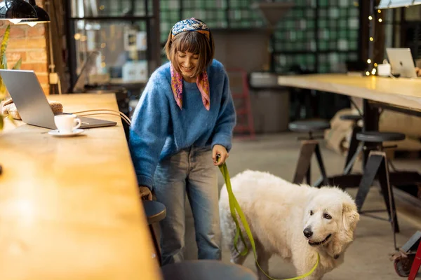 女性はラップトップで働くために現代のコーヒーショップで彼女のかわいい犬と座っています ペットフレンドリーな場所とペットのコンセプトで時間を過ごす — ストック写真
