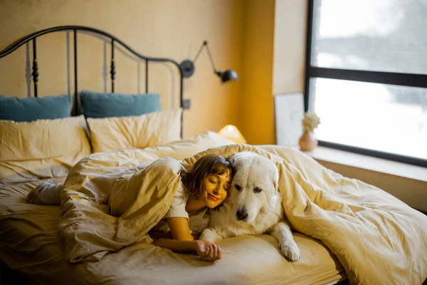 Leuke Jonge Vrouw Ligt Met Haar Witte Schattige Hond Bedekt — Stockfoto