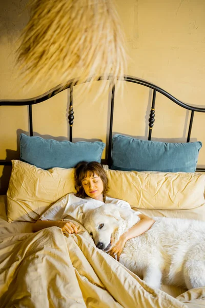 Mujer Duerme Con Enorme Lindo Perro Una Cama Acogedora Vista —  Fotos de Stock