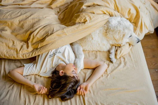 Young Woman Hugs Her Cute Dog While Lying Together Covered — Stok fotoğraf