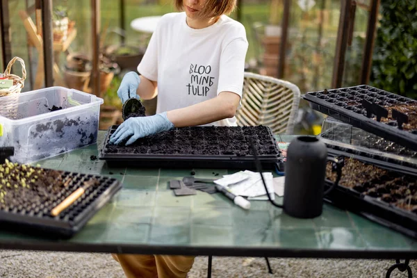 Mujer Joven Llenando Bandejas Plántulas Con Tierra Sembrando Semillas Flores — Foto de Stock