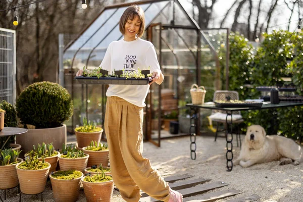 早春に美しい庭で苗トレイを持つ若い女性庭師の肖像画の後ろの温室 — ストック写真