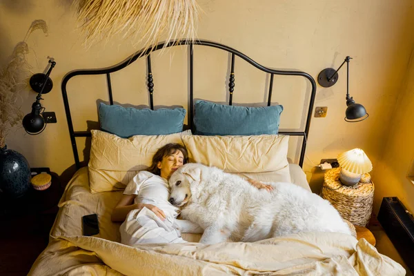 Vrouw Slaapt Met Haar Enorme Schattige Hond Gezellig Bed Uitzicht — Stockfoto
