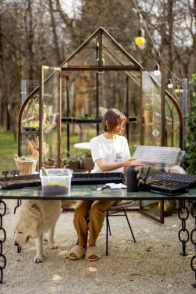 Genç Kadın Ilkbaharın Başlarında Güzel Bahçesinde Masanın Başında Otururken Tepsilerde — Stok fotoğraf