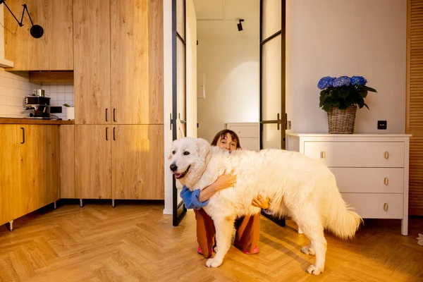 一个年轻女子和她的大白狗在家里拥抱在一起的画像 家庭生活方式的概念和与宠物的友谊 Maremma牧羊犬 — 图库照片