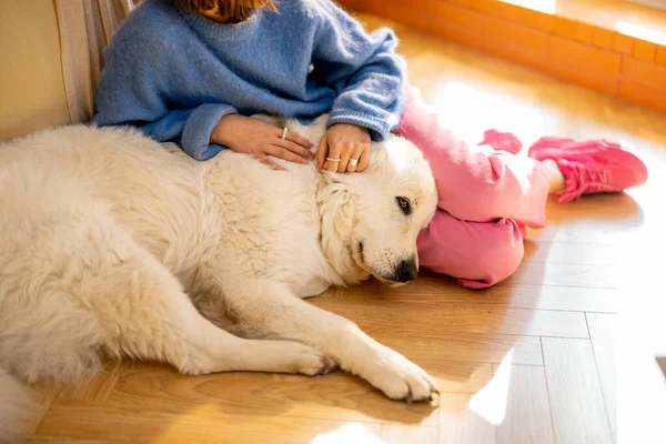 年轻女人在家里一起躺在地板上 关心她可爱的白狗 闲暇时间和与狗的友谊概念 — 图库照片