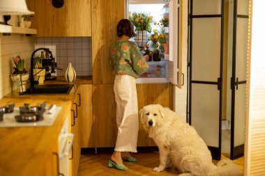 Köpeğiyle sevimli bir kadın mutfaktaki taze çiçeklerle dolu bir buzdolabına bakıyor. Güzellik anlayışı, ev tarzı ve evcil hayvanlarla arkadaşlık