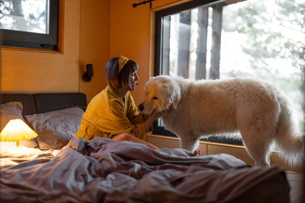 Young Woman Cares Her Huge Adorable White Dog While Lying — 스톡 사진